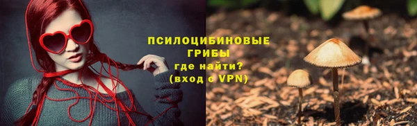 прущие грибы Богородицк