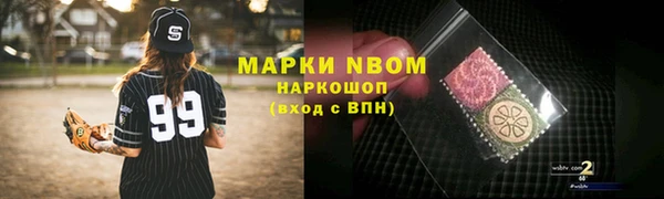 прущие грибы Богородицк