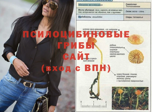 прущие грибы Богородицк