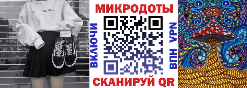 Псилоцибиновые грибы GOLDEN TEACHER  блэк спрут как зайти  Дубовка  купить наркотик 